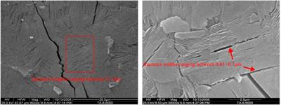 Fracture network characterization of high-rank coal and its control mechanism on reservoir permeability